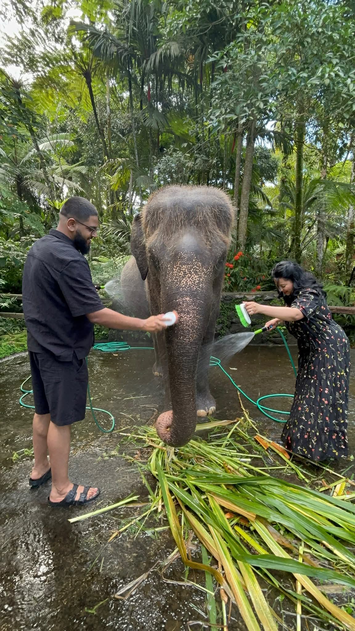 Custom tour in Bali