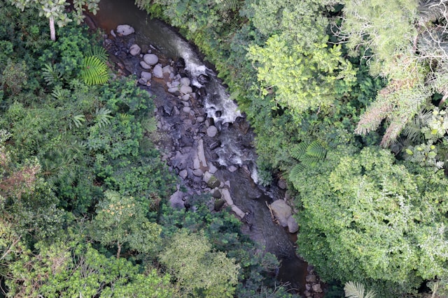 Rafting in Bali